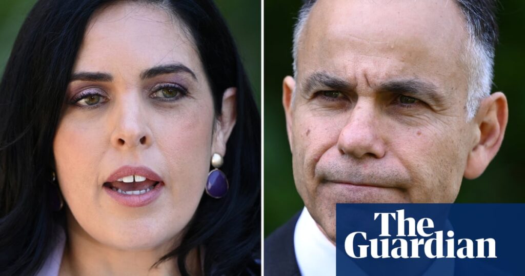 Court to hear bid to thwart Victorian Liberal party’s John Pesutto bailout despite debt having been paid | Victorian politics