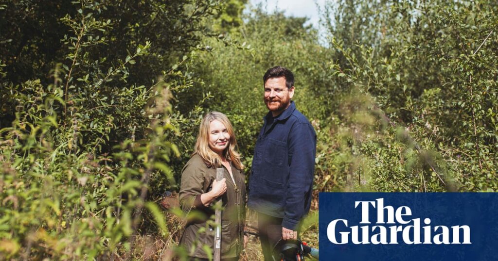 Giving back to the land: an off-grid eco-guesthouse in a ‘quietly radical corner’ of south-west Ireland | Travel