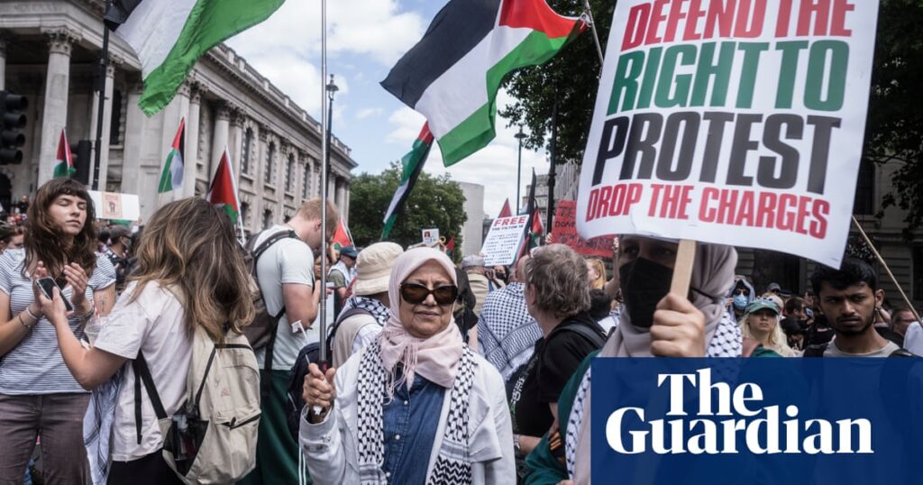 Home Office staff concerned about ‘absurd’ Palestine Action ban, says senior civil servant | Home Office