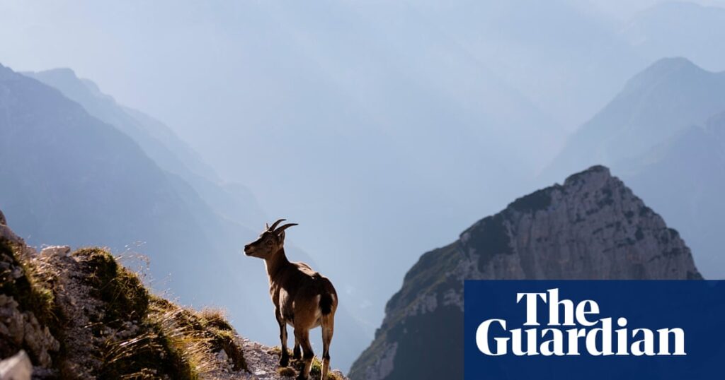 ‘If you love adventure but not tourists’: readers’ favourite wild places in Europe | Europe holidays