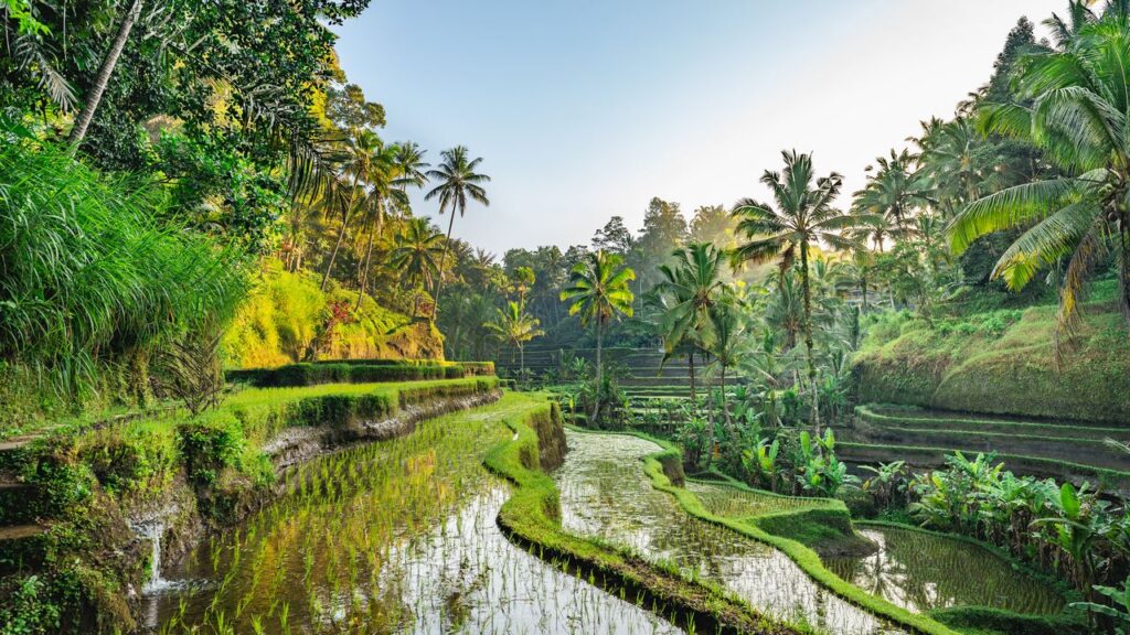 Condé Nast Traveler