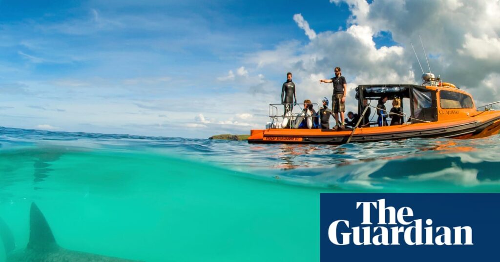 20 family nature holidays in the UK – from kayaking to stargazing and whale watching | Summer holidays