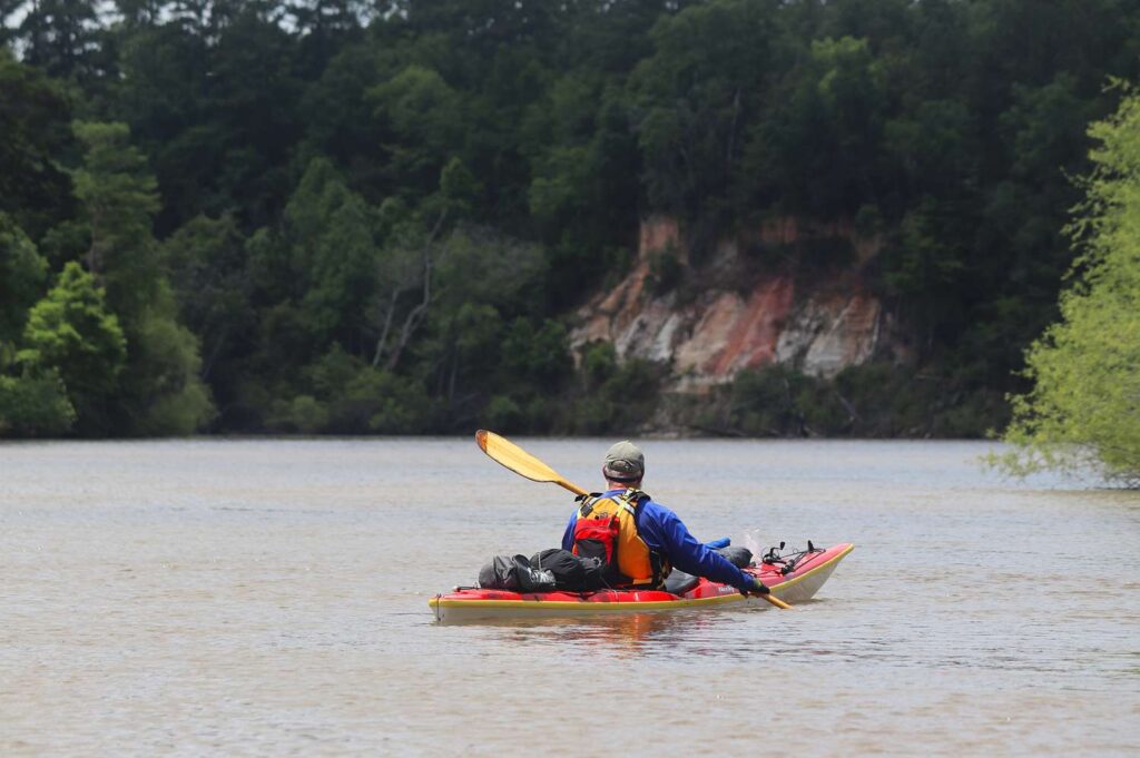 Altamaha River Is Georgia's 'Little Amazon'—and It's Just 1.5 Hours From Savannah