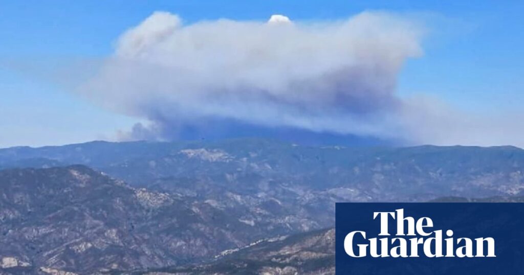 California sees year’s largest wildfire as Madre fire spreads north of Los Angeles | California wildfires