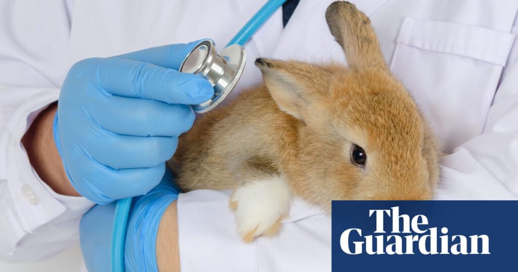 EPA to launch program that lets people adopt its lab animals amid Trump cuts | Trump administration