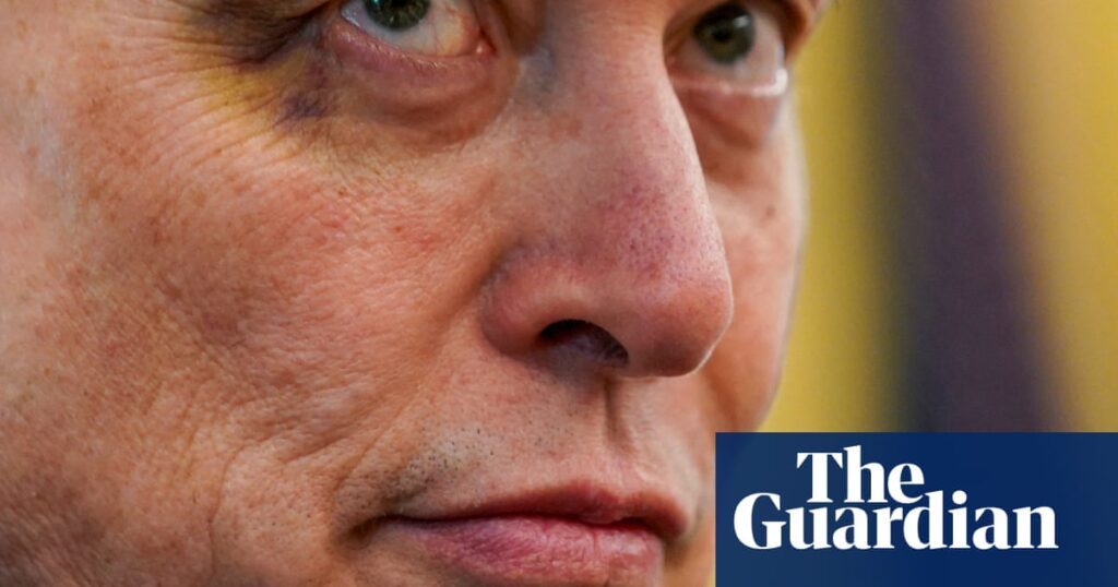 Elon Musk’s proposed new political party could focus on a few pivotal congressional seats | Elon Musk