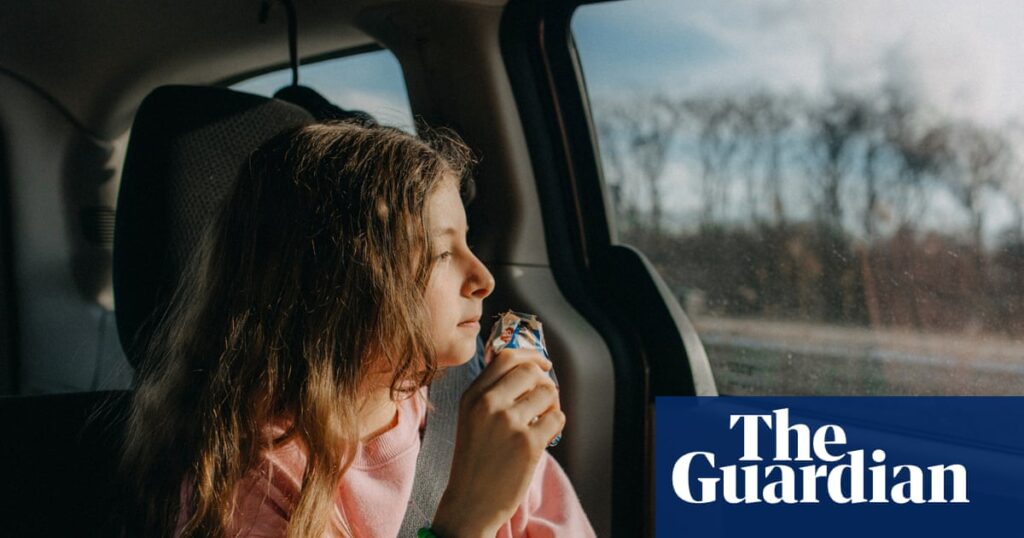 No more meltdowns, mess or madness! 20 simple tips for surviving long family journeys | Travel