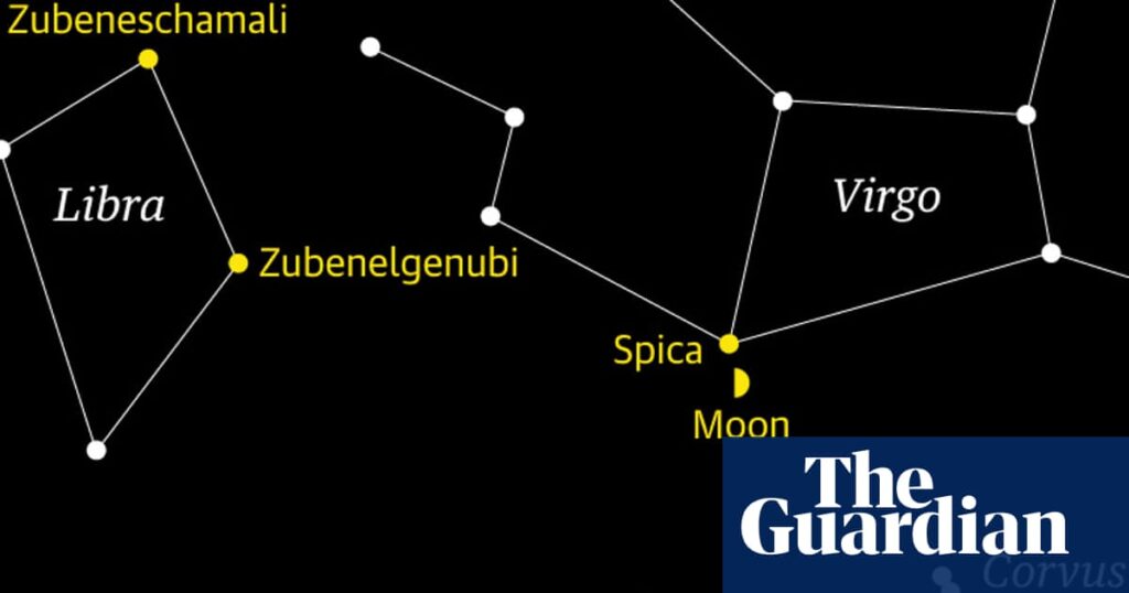 Starwatch: Spica greets the passing moon | Astronomy