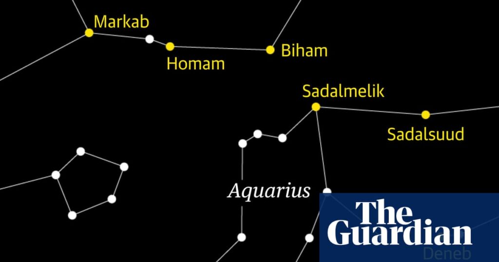 Starwatch: look out for the Delta Aquariids meteor shower | Meteors
