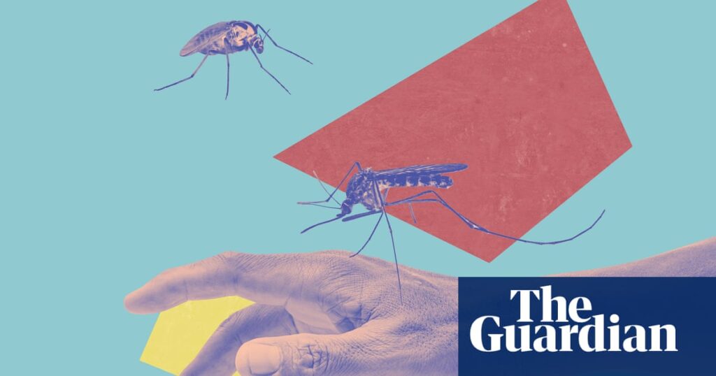 Sweat, stingers and scratching: 14 expert, easy ways to treat and prevent insect bites | Life and style