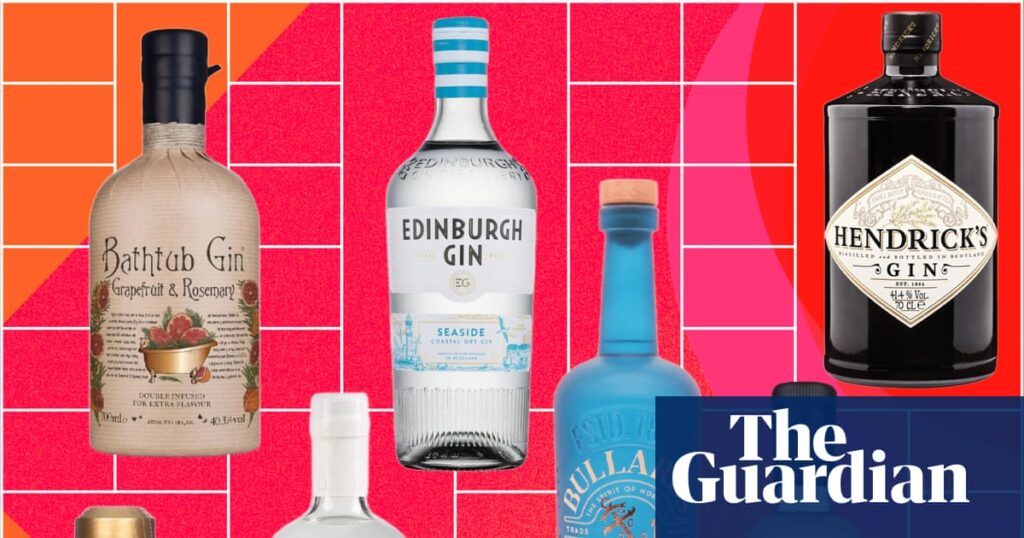 The best gins for G&Ts, martinis and negronis, from our taste test of 50 | Spirits