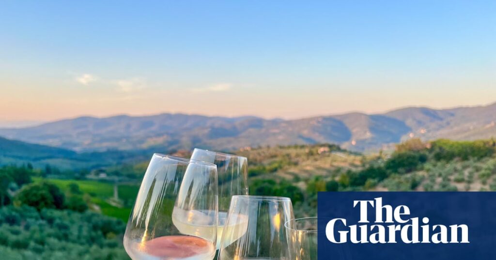 The best no- and low-alcohol wines for when you’re off the booze (yes, good ones do exist) | Wine