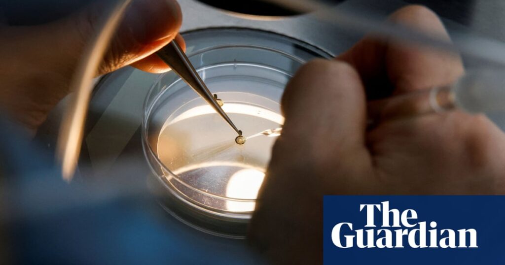 Why British women are freezing their eggs abroad – podcast | Science