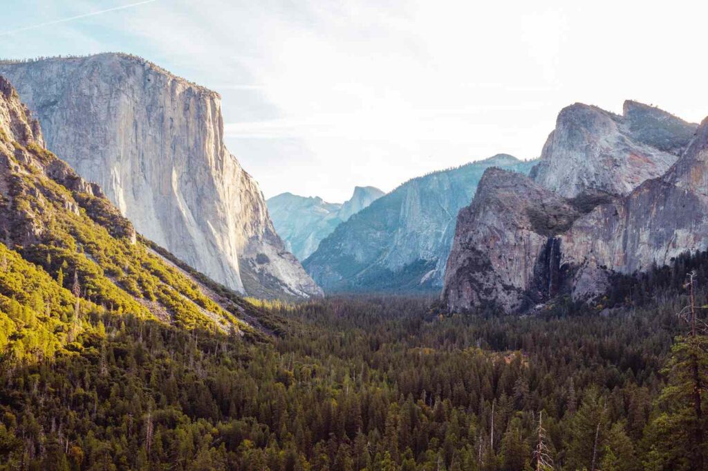 Yellowstone National Park Has a New Natural Wonder