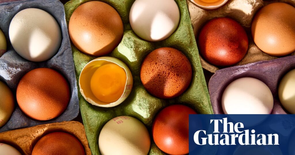 ‘Delicious, affordable everyday eating’: the best supermarket free-range eggs, tasted and rated | Eggs