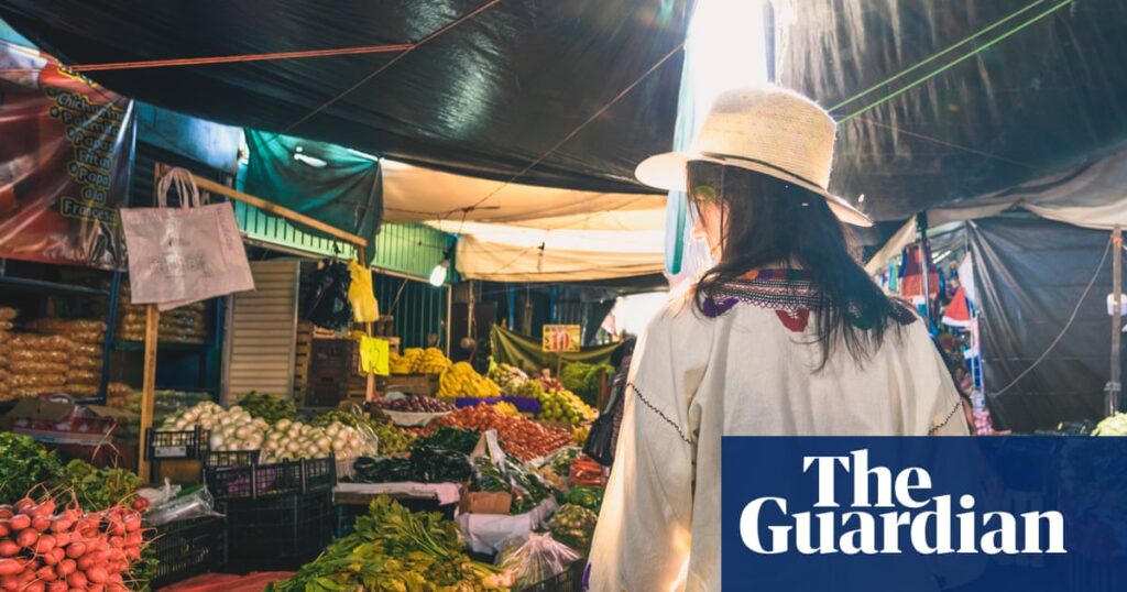 ‘Don’t ever assume there’s anything to eat!’ 29 tips for perfect vegan holidays, from where to go to how to order | Food