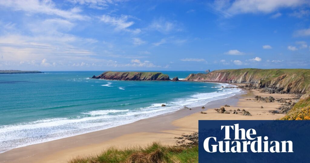 ‘No computers, just outdoor fun’: readers’ favourite family nature trips | Family holidays