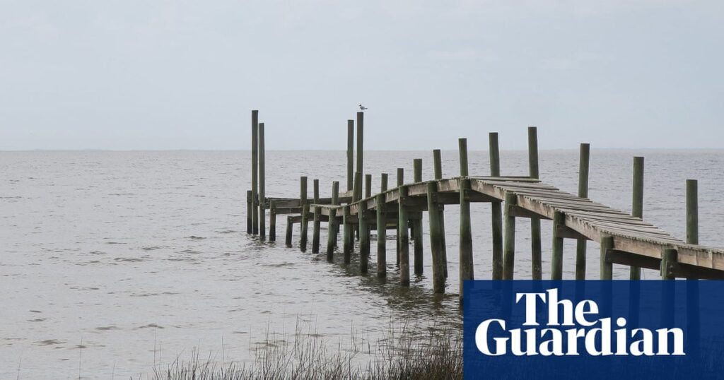 ‘This bill protects our precious waters’: how a Florida environmental group scored a win against big oil | Florida