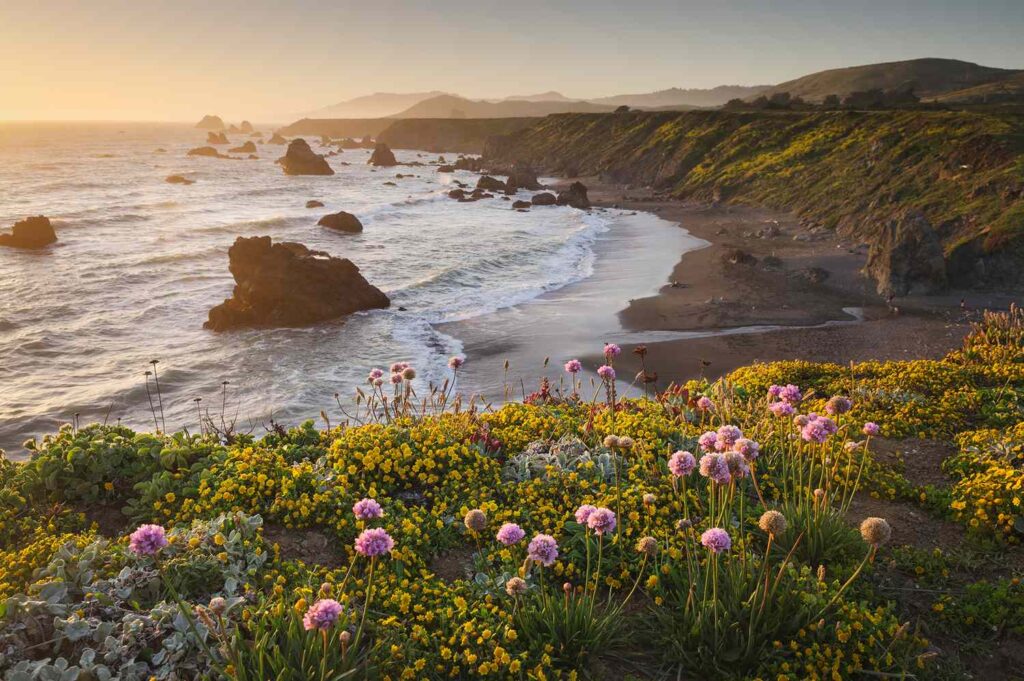 Alaska Airlines Has 7 New Domestic Routes Across the West Coast to Iconic Destinations