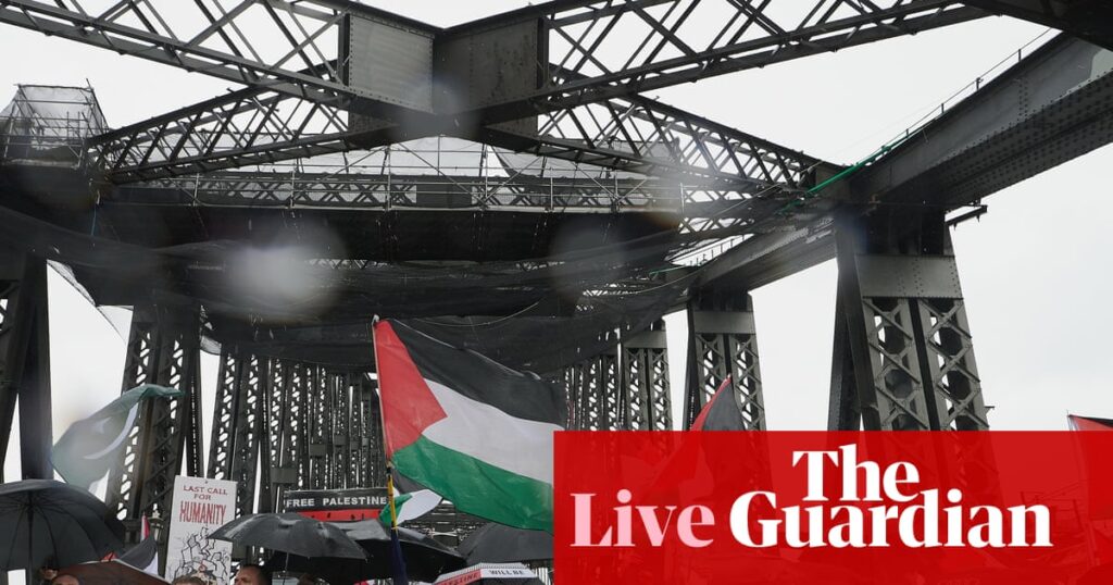 Australia news live: Sydney pro-Palestine march was ‘extraordinary’, Penny Wong says; heavy fog stops harbour ferries | Australia news