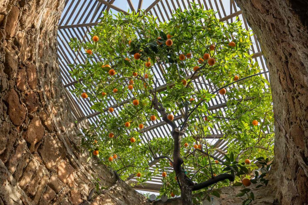 Forestiere’s Underground Gardens in Fresno, California