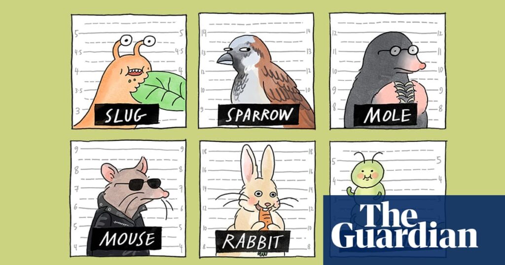 From peeing on your veg patch to hanging up old CDs – the tricks and tips that will (and won’t) deter garden pests | Gardens