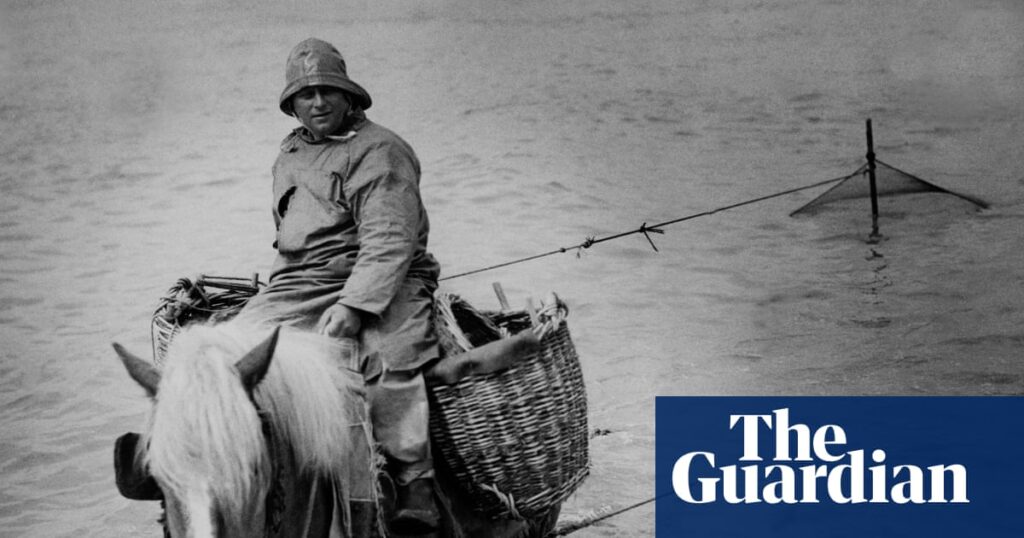Seascraper by Benjamin Wood review – a story that sings on the page | Fiction