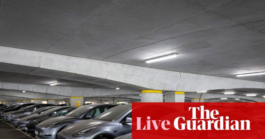 Tesla sales fell 40% across Europe in July as rival BYD pulled ahead – business live | Business