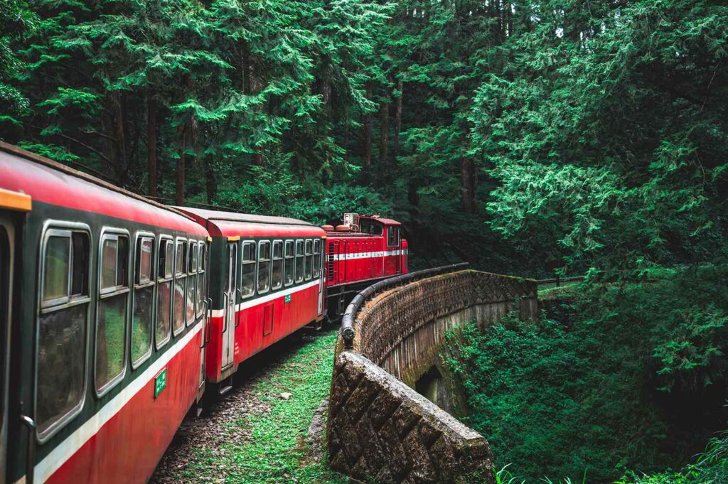 This Stunning Forest Train in Taiwan Travels Through 4 Climate Zones and 77 Tunnels