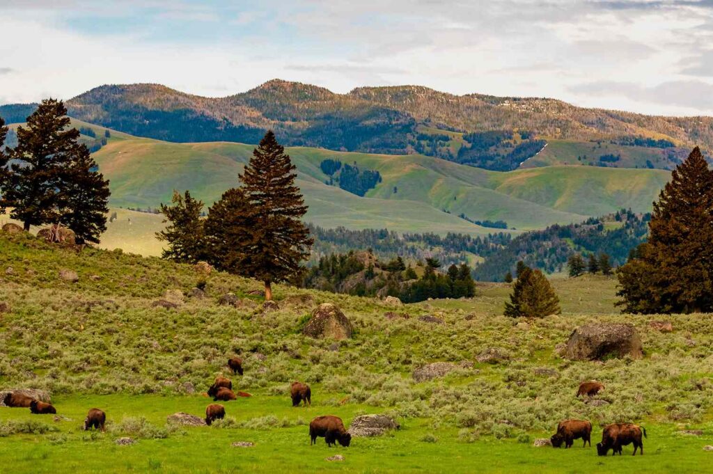 We Asked 7 Travel Experts Their Favorite U.S. Summer Destinations—and They All Picked the Same Region
