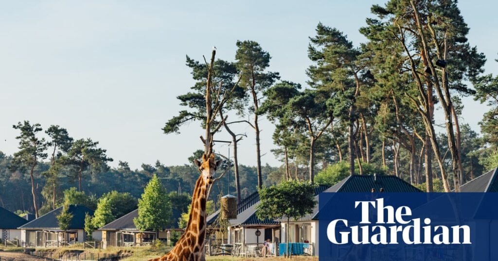 We’re on safari … in the Netherlands | Netherlands holidays