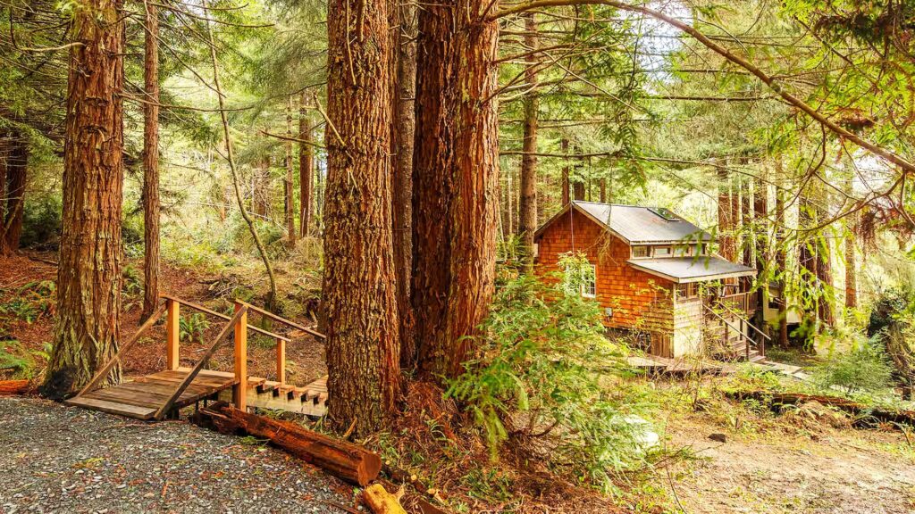Where to Stay Near Redwood National Park