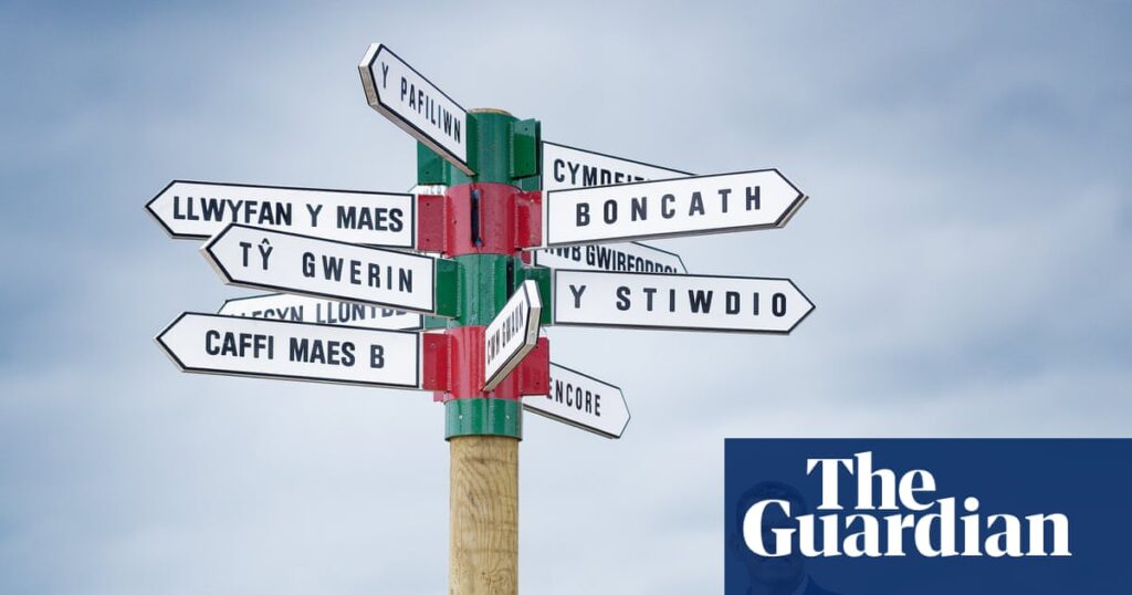 ‘We’re the party of ambition’: Plaid Cymru sets out to topple Labour | Welsh politics